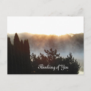 Smokey Morning Glory Thinking of You Postcard