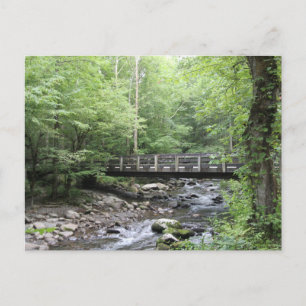 Smokey Mountain Creek Postcard
