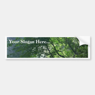Smokey Paths Trails Forests Woods Bumper Sticker