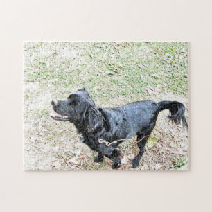 Smokey Waits To Go For A Walk Puzzle