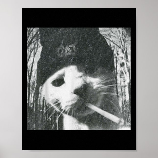 Smoking Cat Beanie Meme Grunge Aesthetic Funny T-s Poster (Front)
