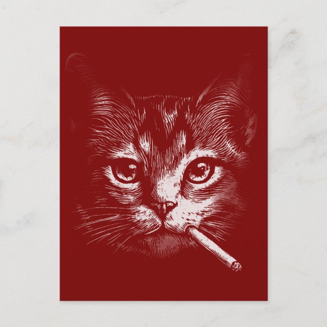 Smoking Cat Funny  Postcard (Front)