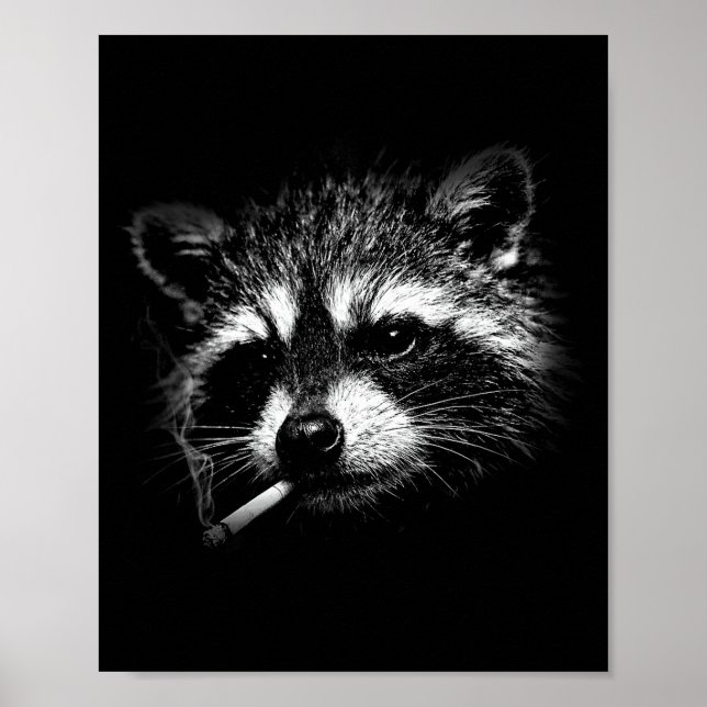 Smoking racoon with cigarette, brainrot racoon  poster (Front)