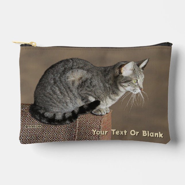Smoky Grey Tabby Cat Accessory Pouch (Front)
