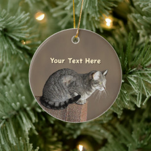 Smoky Grey Tabby Cat Ceramic Ornament