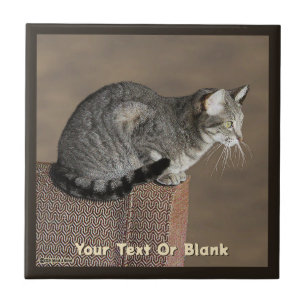Smoky Grey Tabby Cat Ceramic Tile