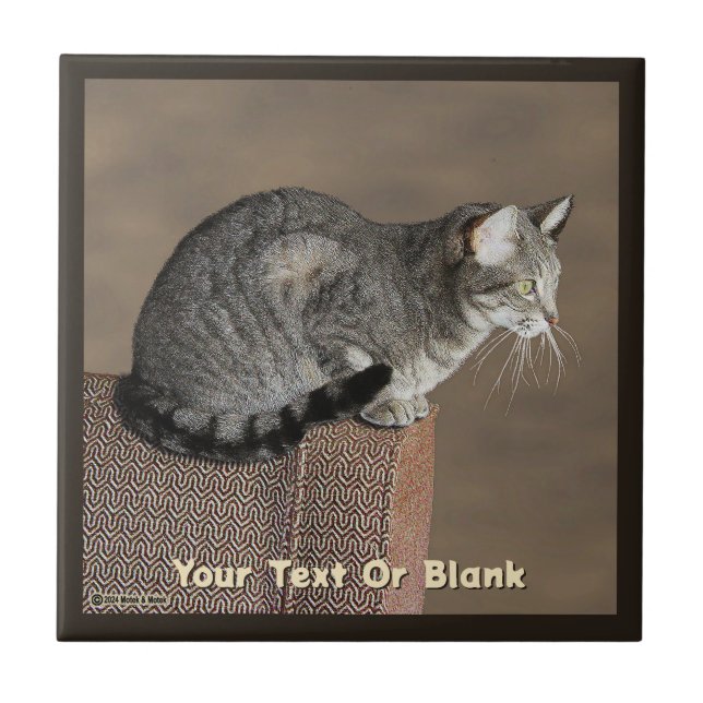 Smoky Grey Tabby Cat Ceramic Tile (Front)