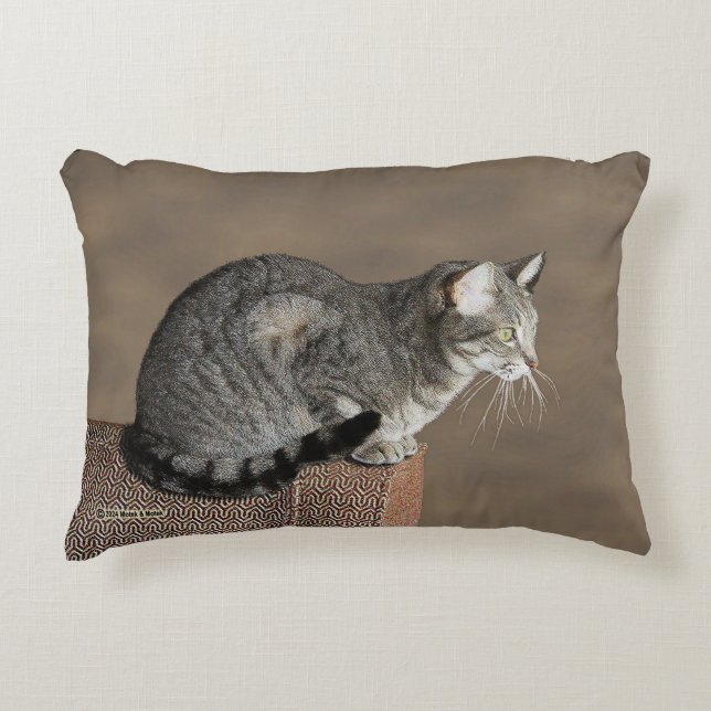 Smoky Grey Tabby Cat Decorative Cushion (Front)