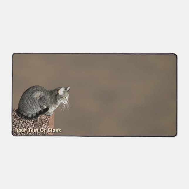 Smoky Grey Tabby Cat Desk Mat (Front)