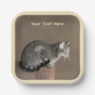 Smoky Grey Tabby Cat Paper Plate