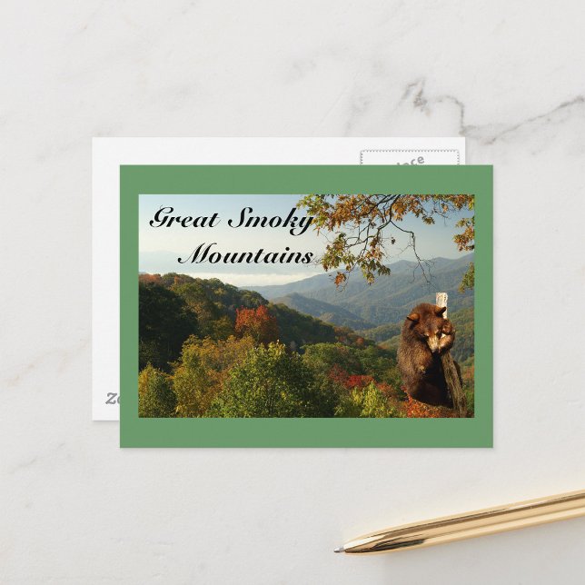 Smoky Mountain Black  Bear Postcard (Creator Uploaded)