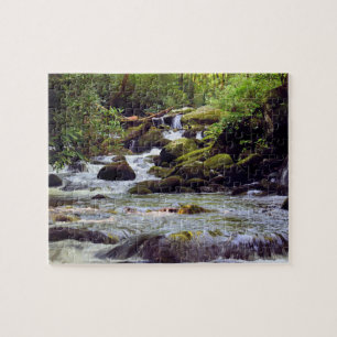 Smoky Mountain Stream  -  8x10  Jigsaw Puzzle