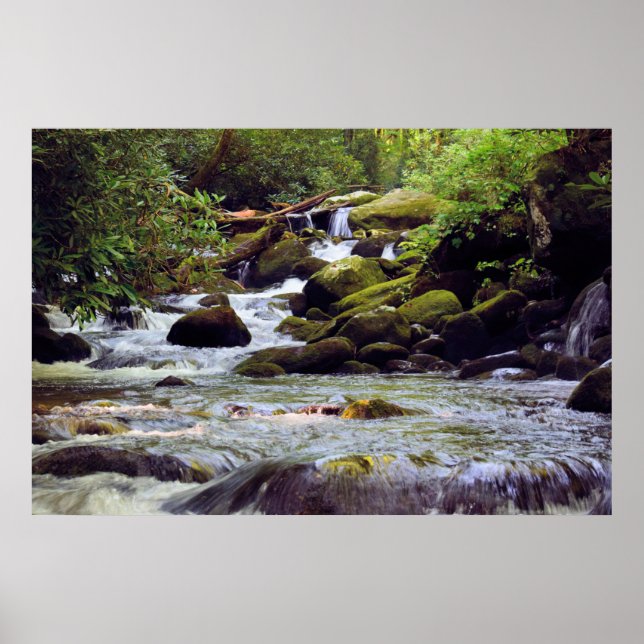 Smoky Mountain Stream  -  GSMNP Poster (Front)