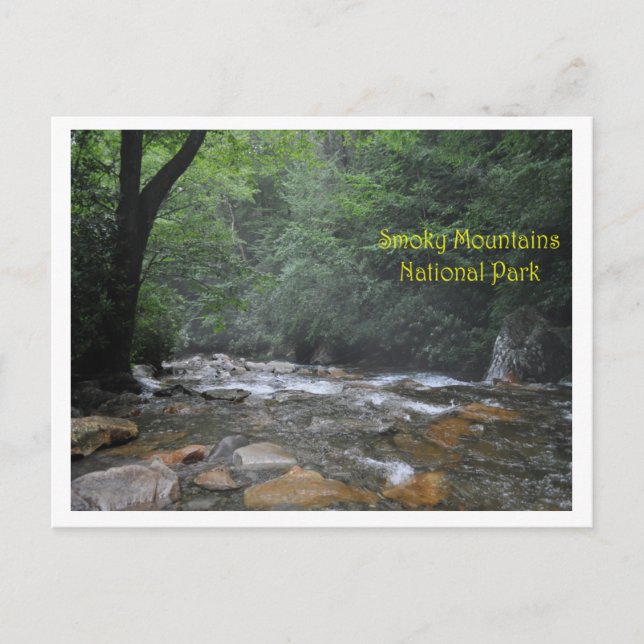 Smoky Mountain Stream Postcard (Front)