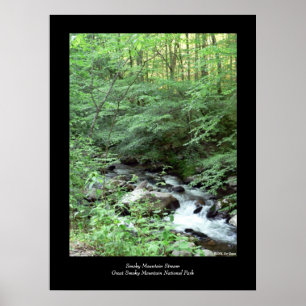Smoky Mountain Stream Poster