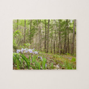 Smoky Mountain Trail in Spring Jigsaw Puzzle
