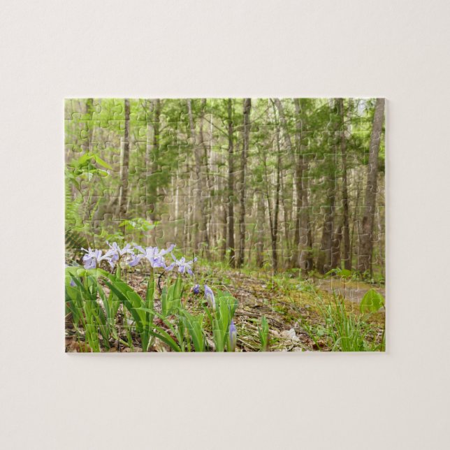 Smoky Mountain Trail in Spring Jigsaw Puzzle (Horizontal)