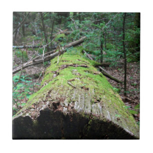 Smoky Mountains Ceramic Tile