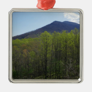 Smoky Mountains in Spring Landscape Metal Ornament