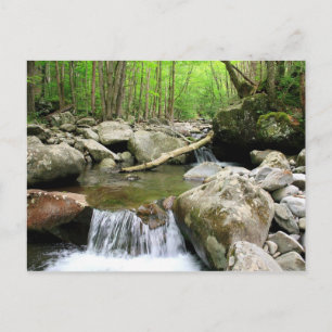 Smoky Mountains Postcard