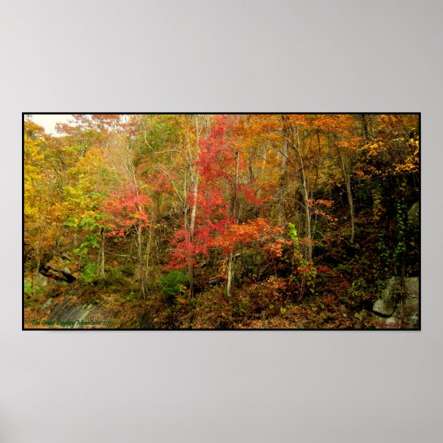 Smoky Mountains Tennessee in the Fall Poster (Front)
