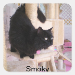 Smoky Sticker