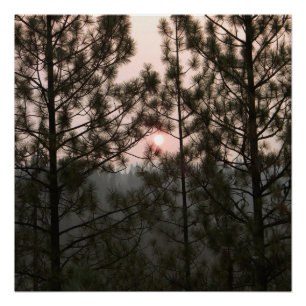 Smoky Sunrise from the Carr Fire 2018... Poster