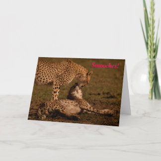 Smooches - Cheetah Valentine Holiday Card