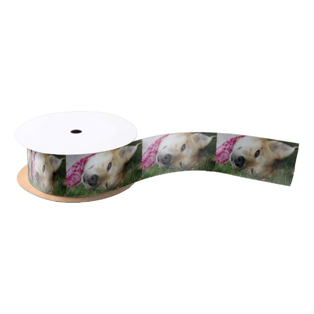 Smoochie Satin Ribbon (Spool)