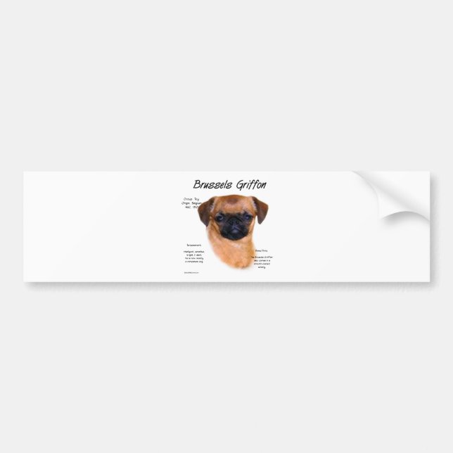 Smooth Brussels Griffon History Bumper Sticker (Front)