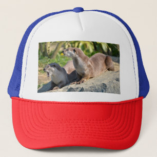 Smooth-coated otters lying trucker hat