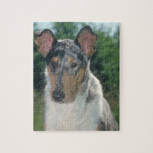 Smooth Collie Merle Dog Puzzle