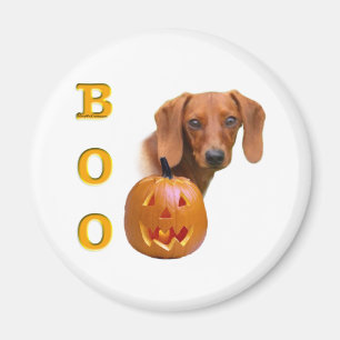 Smooth Dachshund Boo - Magnet