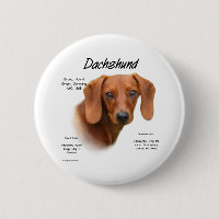 Smooth Dachshund Meet the Breed - Button