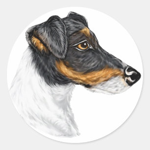 Smooth Fox Terrier Classic Round Sticker