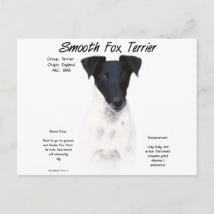 Smooth Fox Terrier History Design Postcard