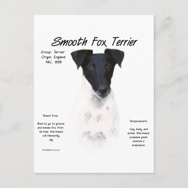 Smooth Fox Terrier History Design Postcard (Front)