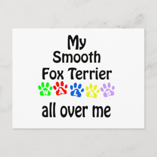 Smooth Fox Terrier Walks Design Postcard