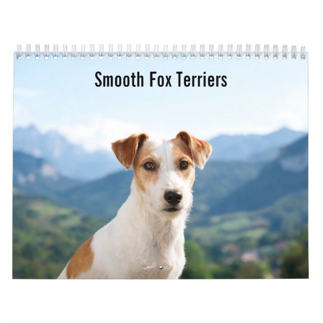 Smooth Fox Terriers 2027 Wall Calendar (Cover)