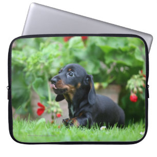 Smooth-haired Miniature Dachshund 1 Laptop Sleeve