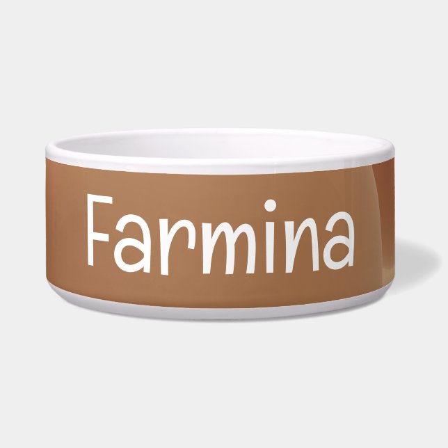 Smooth Minimalist 3D Pet Bowl with FARMINA Text (Front)