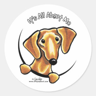 Smooth Red Dachshund Its All About Me Classic Round Sticker