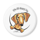 Smooth Red Dachshund Its All About Me