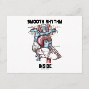 Smooth Rhythm Inside (Medical Anatomical Heart) Postcard