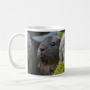 Smooth, Shorthair, Lemon Agouti Guinea Pig in Rock Coffee Mug