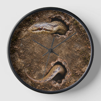 Smooth Snake Emerging from Rocky Holes Wildlife Clock