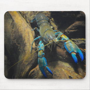 Smooth Yabby Mouse Pad