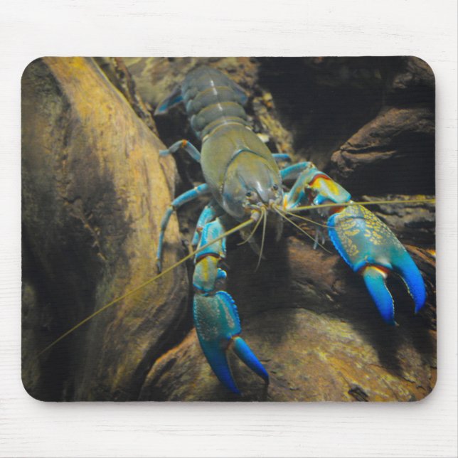 Smooth Yabby Mouse Pad (Front)