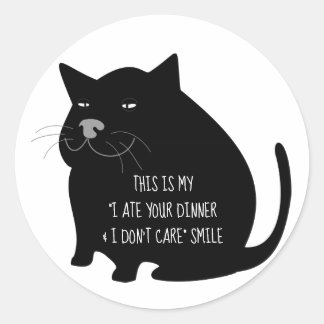 Smug Fat Black Cat Funny Quote Classic Round Sticker