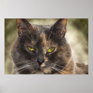 Smug Kitty - Do What You Want? Poster
